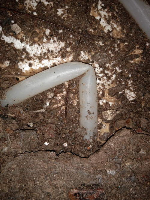 密山堵点精准查找